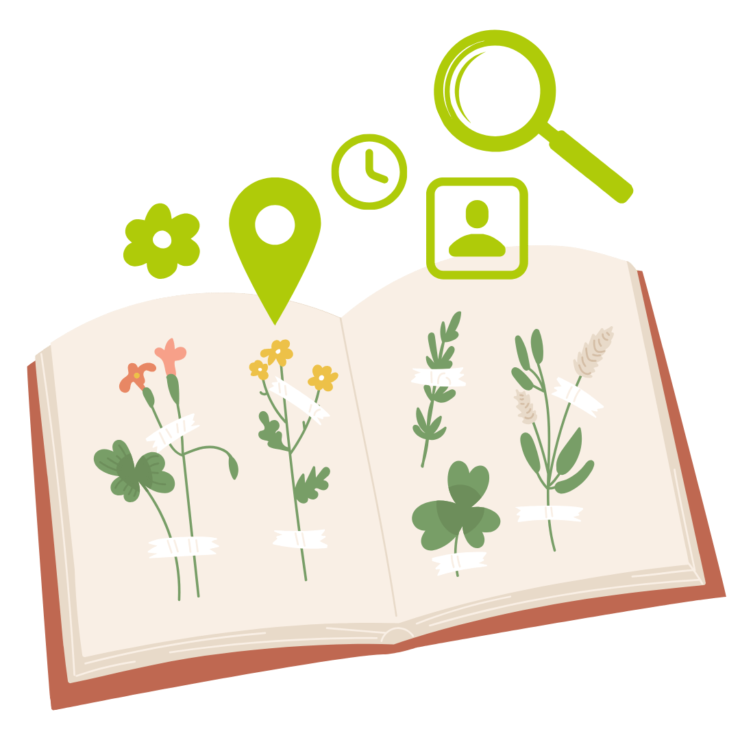 Gartenprojekte Kita Herbarium erstellen