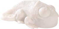 Cham&auml;leon