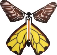 Schmetterling 4er Set