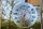 Fenster-Thermometer