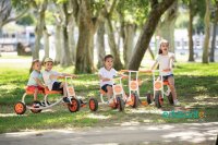 Edusante Trike