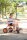 Edusante Trike