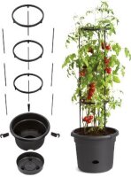 Tomatentopf