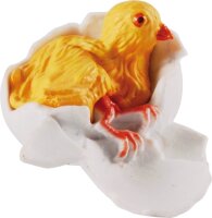 Lebenszyklus Huhn