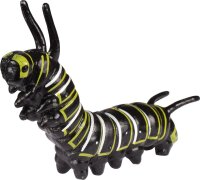 Lebenszyklen Schmetterling