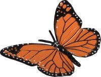 Lebenszyklen Schmetterling