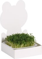 Figuren-Saatschalen 27er Set