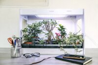 Gew&auml;chshaus mit LED-Beleuchtung