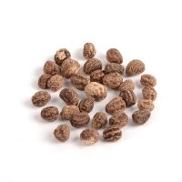 Saatgutset Kapuzinerkresse 24 St&uuml;ck