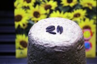 Saatgutset Sonnenblume 24 St&uuml;ck