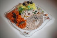 Faszinationsschale transparent f&uuml;r Leuchtk&uuml;bel