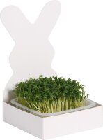 Hasen Saatschalen 15er Set