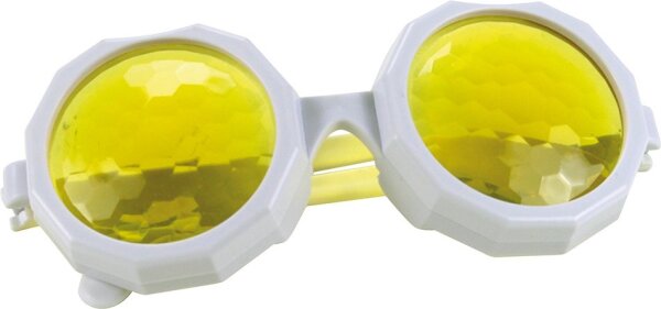 Insektenbrille