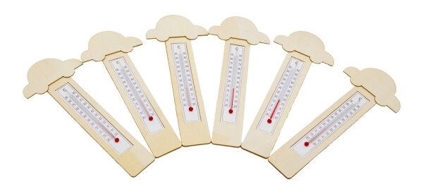 Thermometer DIY Autos 6er Set