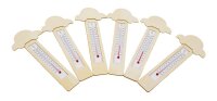 Thermometer DIY Autos 6er Set