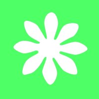 Kreativ Locher 25mm Blume