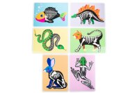 Tierskelett Bilder 6er Set