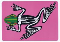 R&ouml;ntgenbild Frosch f&uuml;r Kinder