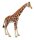 Giraffe Spielfigur