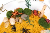 Sensorik-Kasten Insekten
