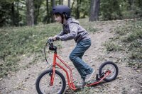 Hort Roller Blau