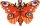 Magnetpuzzle Insekten Schmetterling