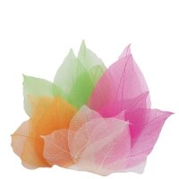 Echte Magnolia-Bl&auml;tter 300 St&uuml;ck