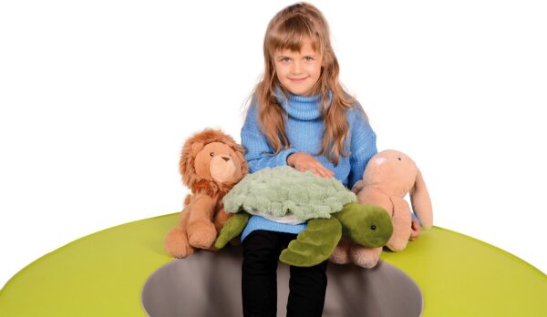 Gewichtstier Schildkr&ouml;te Siegfried 1,6 kg