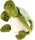 Gewichtstier Schildkr&ouml;te Siegfried 1,6 kg