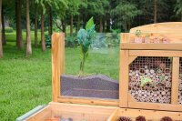 Insekten- und Pflanzenbeobachtungsstand