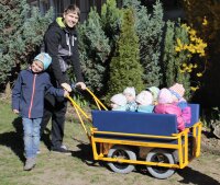 Krippenwagen Edeline Premium
