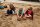 Motivroller im Sand