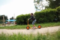 Roller mit Bremse Maxi