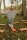 Outdoor Balancierbalken mit Kind