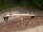 Holzwippe Robinie, 2 Sitze