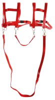 Laufleine Zweispaenner rot