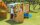 Outdoor Snack Bar - Kiosk