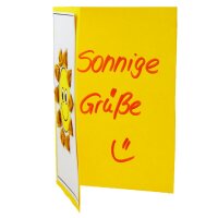 Stickkarton, bedruckt, 48er Set