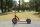Roller gro&szlig; Kindergarten Seite