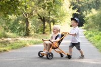 Buggy - TopTrike