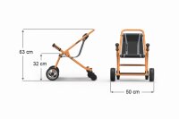 Buggy - TopTrike