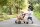 Buggy - TopTrike