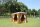 Outdoor Chill-Out Lounge