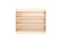 Regalschrank mit R&uuml;ckwand 80