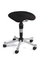 Body Balance 20 Rollhocker