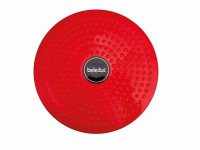Dreh- & Balanceboard, 10er Set