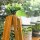 Outdoor-Pflanzen-Regal Detail oben