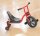 Challenge Swing Trike Winther