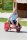 Junge mit Wheely Rider