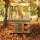 Foodtruck Outdoor